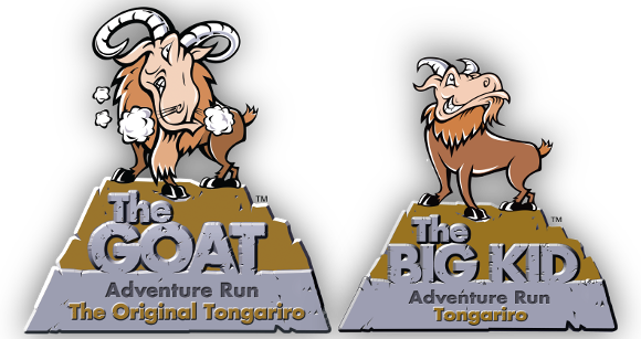 Goat Tongariro 19